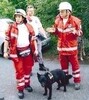 Rettungshunde schnüffeln nach "Überlebenden"