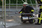 Leistungsabzeichen 2010