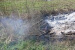 Beginnender Fl&auml;chenbrand nach Nutzfeuer