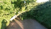 Gro&szlig;er Ast &uuml;ber Feldweg