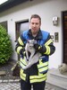 Katze in Kamin
