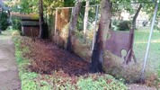 Brand einer Hecke