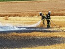Fl&auml;chenbrand beim Dreschen