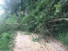 Neckartalradweg wegen Windbruch kurzzeitig nicht befahrbar