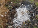 M&uuml;ll auf Feldgemarkung verbrannt