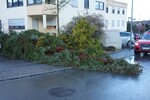 Einsatz Nr.13 - Windbruch