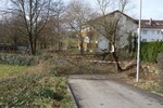Einsatz Nr.15 - Windbruch