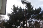 Einsatz Nr.14 - Windbruch