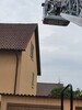 Spatz &uuml;ber die Drehleiter aus der Dachrinne gerettet