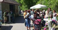Bild
