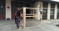 Bild