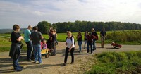 Bild