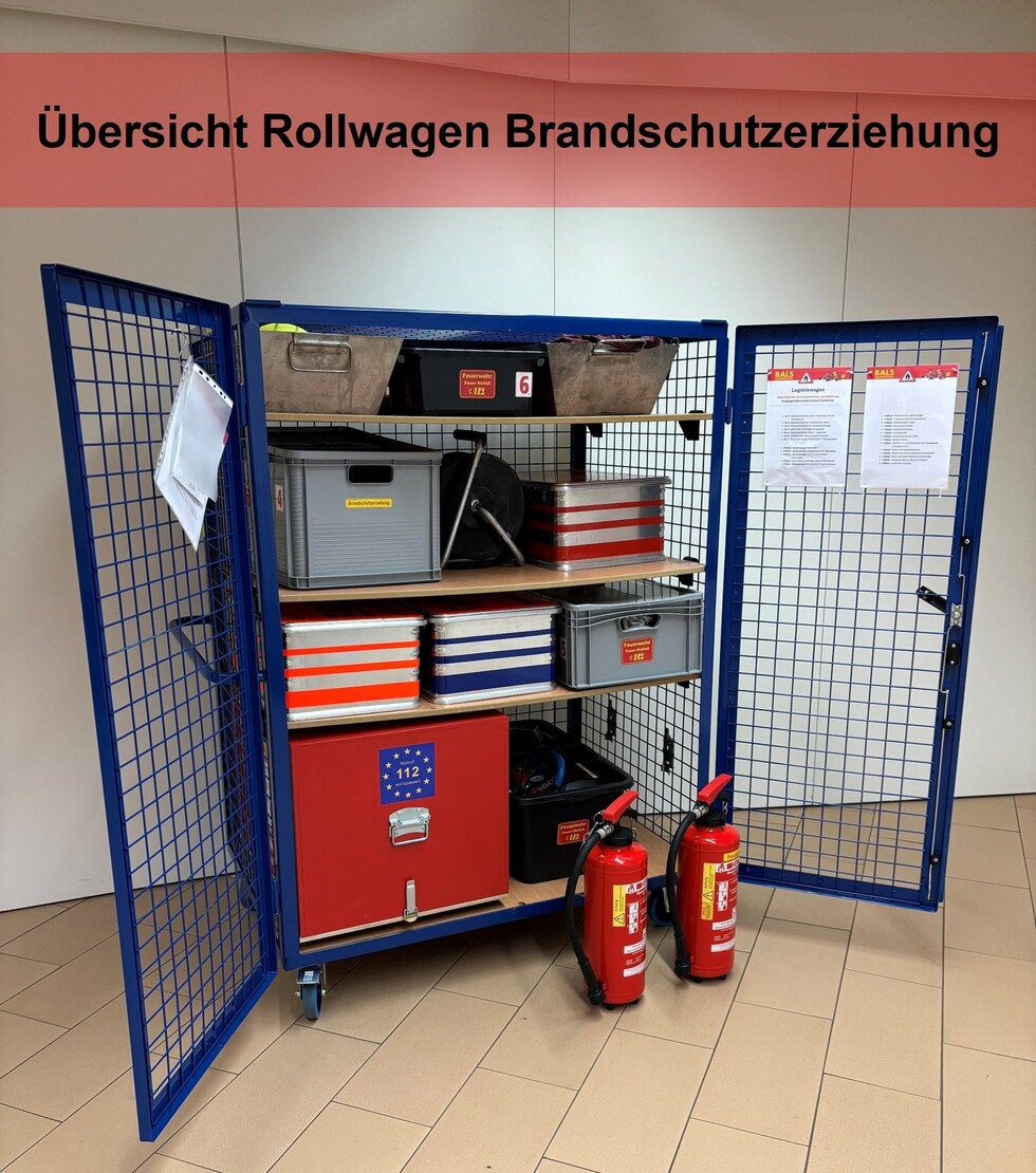 Bild 8: Rollwagen